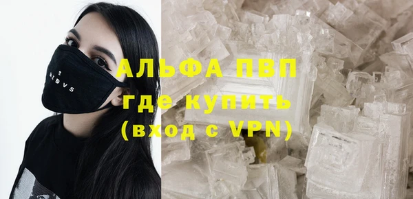 ГАЛЛЮЦИНОГЕННЫЕ ГРИБЫ Новозыбков