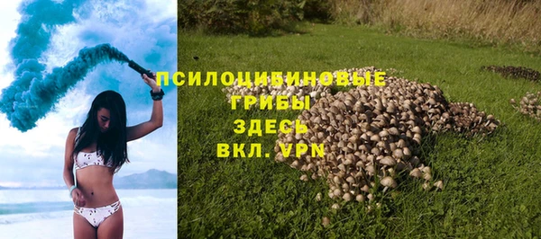 мяу мяу мука Няндома