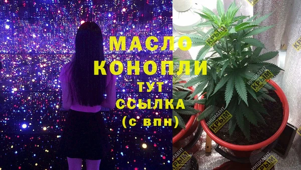 ГАЛЛЮЦИНОГЕННЫЕ ГРИБЫ Новозыбков