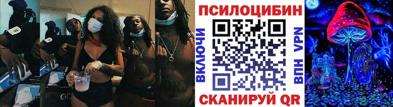 Псилоцибиновые грибы Psilocybe  Купить закладки  Теберда 